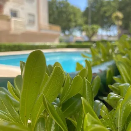 Relax Playa Gandia Apartment Playa de Gandia